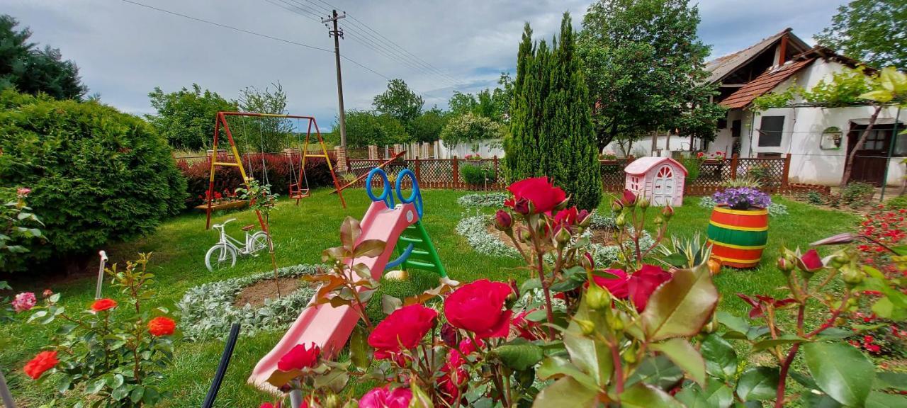 Kostol Guest House Dunavski Raj מראה חיצוני תמונה