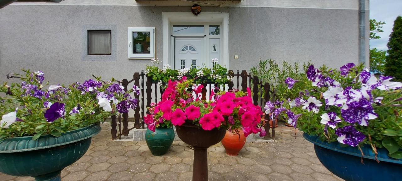 Kostol Guest House Dunavski Raj מראה חיצוני תמונה