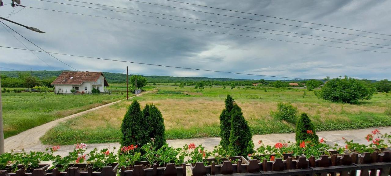Kostol Guest House Dunavski Raj מראה חיצוני תמונה