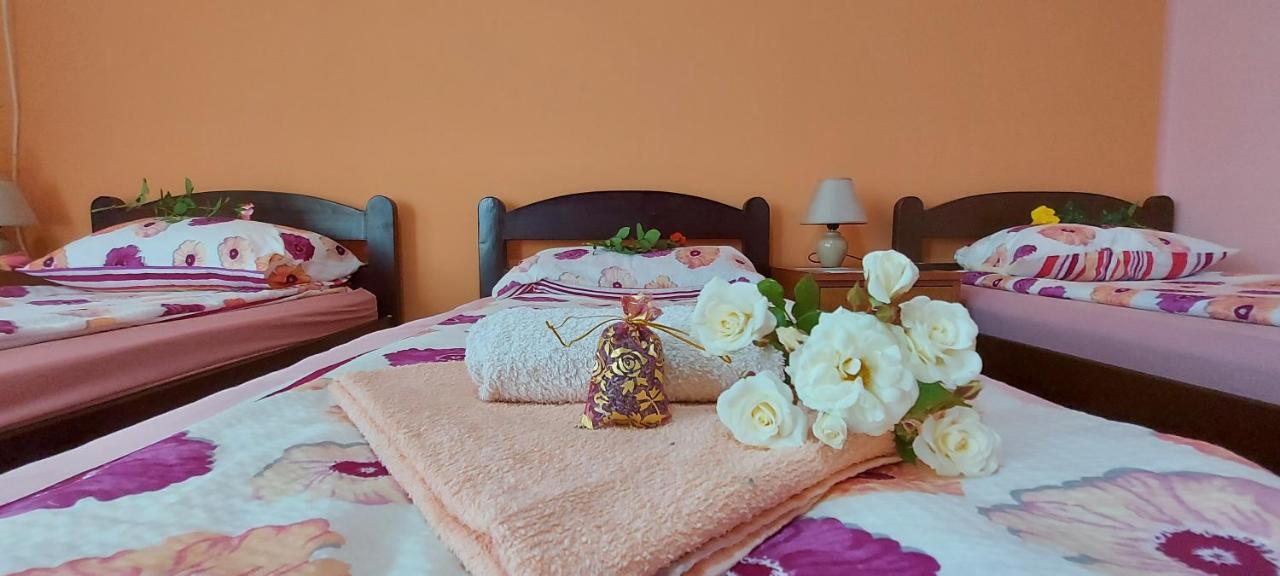 Kostol Guest House Dunavski Raj מראה חיצוני תמונה