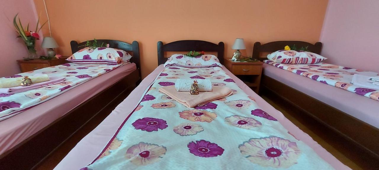 Kostol Guest House Dunavski Raj מראה חיצוני תמונה