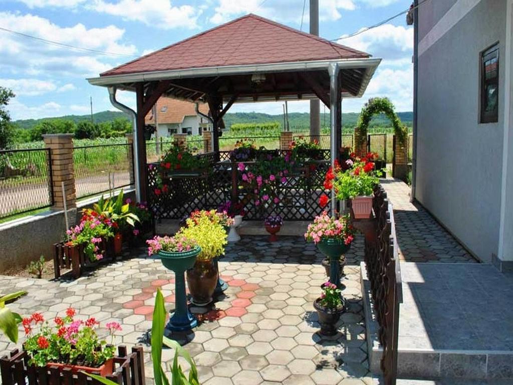 Kostol Guest House Dunavski Raj מראה חיצוני תמונה