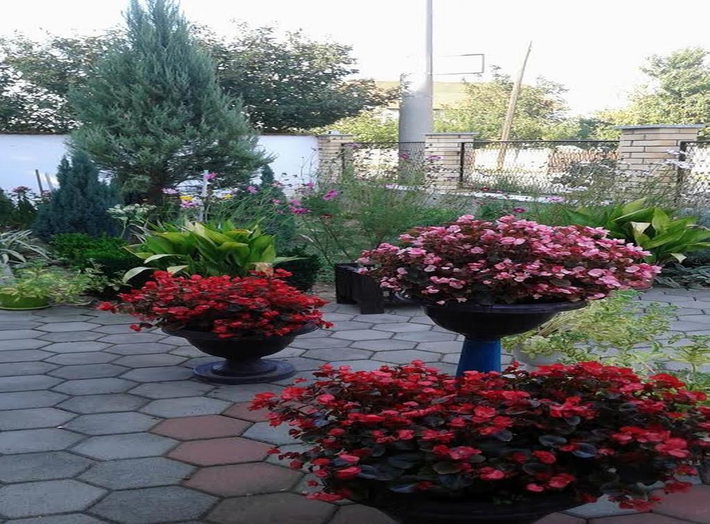 Kostol Guest House Dunavski Raj מראה חיצוני תמונה